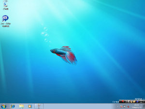 windows 7