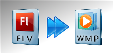 FLV Windows Media Player